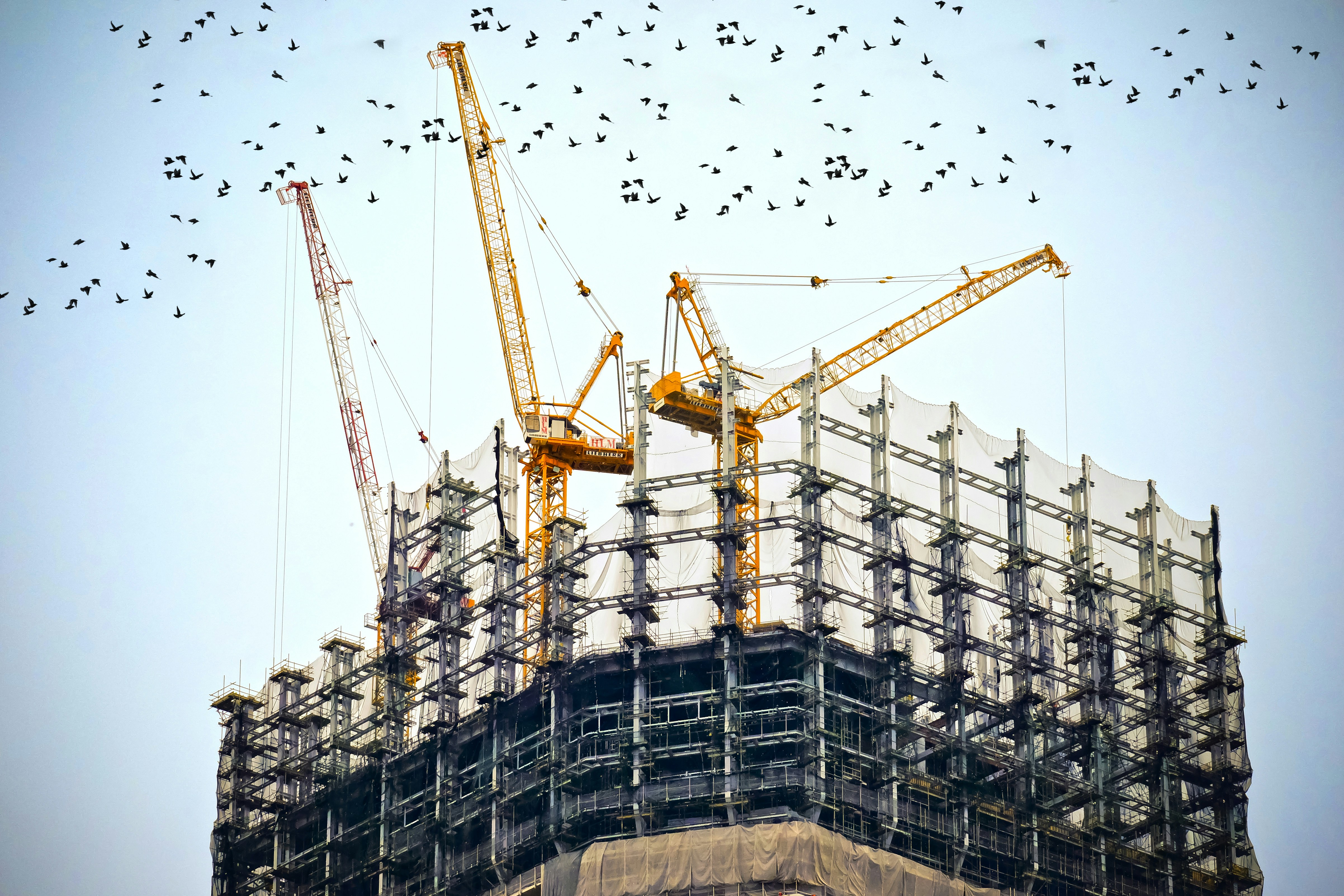 Cantiere e sviluppo immobiliare